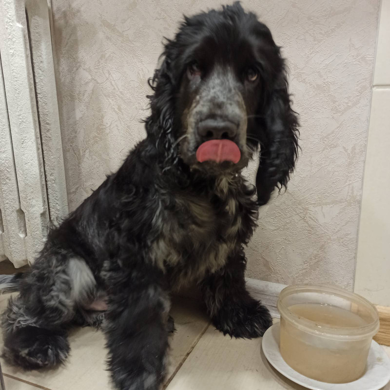 IMG-be6fb5a9c633f5e3d72811038be972b9-V