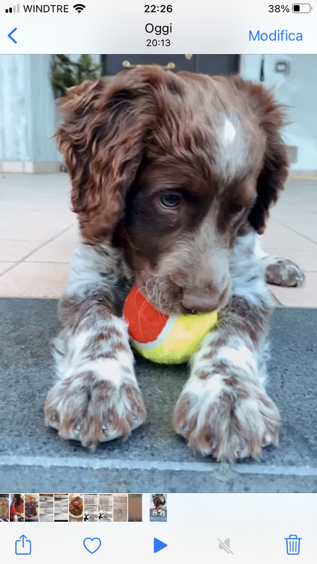 B3CCFC80-D965-4092-B10B-F195E77DEDF1