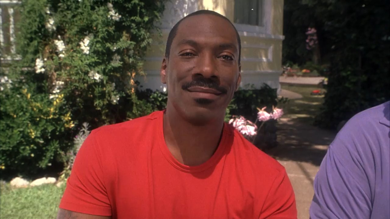 Daddy Day Care 2003 WebRip [Hindi + English] 480p 720p ESub Screenshot