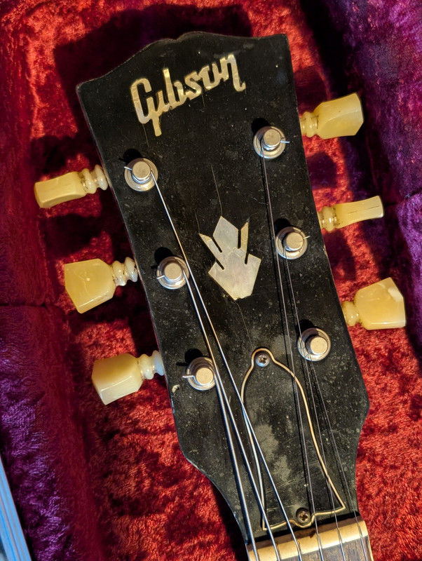 PXL 20260205 090859171 PORTRAIT ORIGINAL