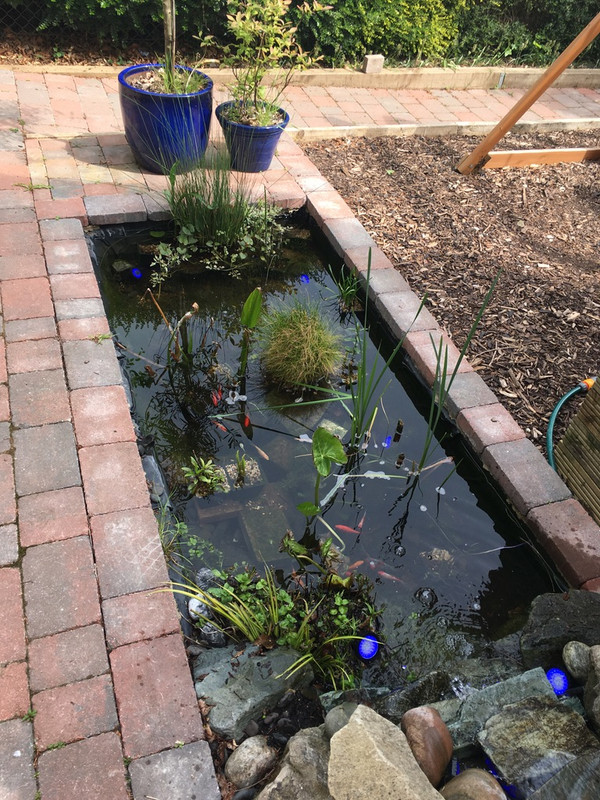 25AF6637-906C-4269-9D11-E5E534BDBCE9_1_105_c