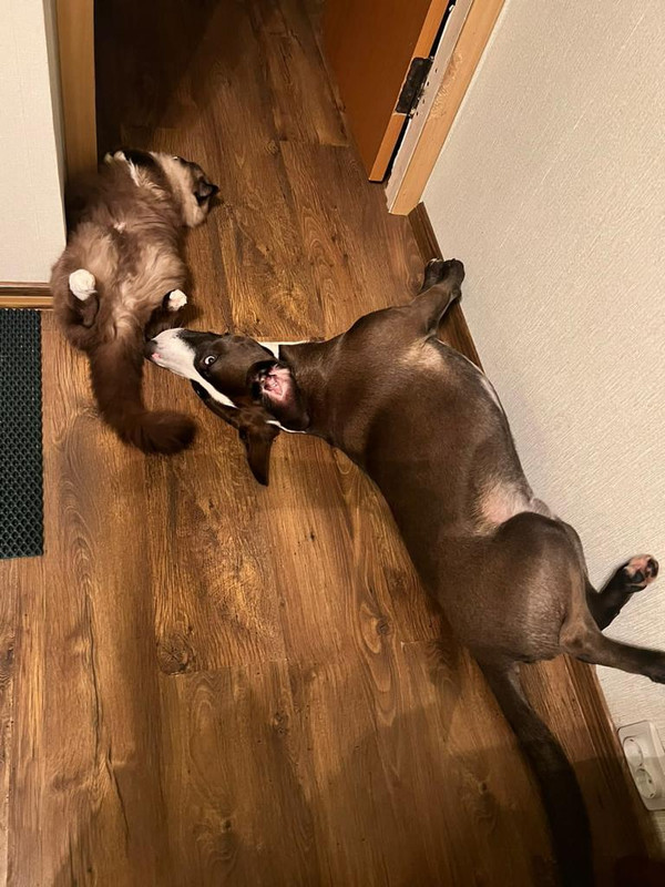 0ADC349D-6FFE-4D12-8B96-BFE216C01153