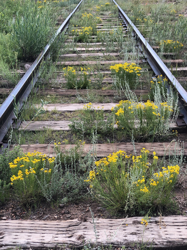 32918CB6-33ED-49CD-81D8-DA813123F86E