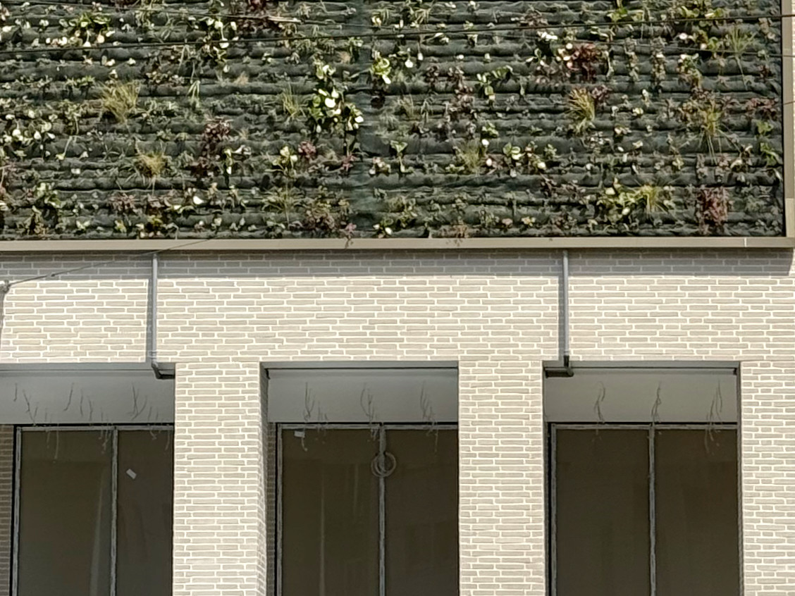 Yard010726-1-(1).jpg