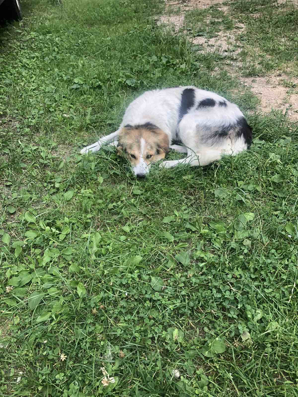 D8CC7CD5-9935-4D8D-AAA9-40BFF34A19F1