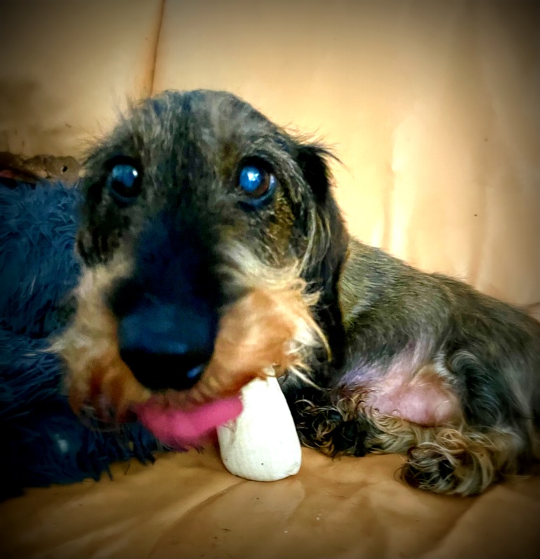 [Image: IMG-1645.jpg]