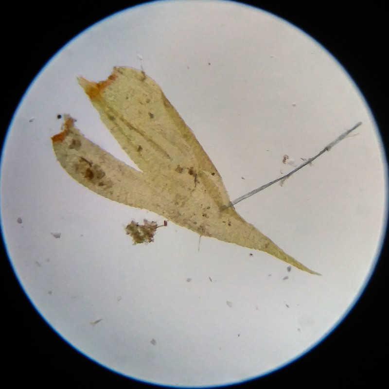 IMG 20250617 111538 HDR