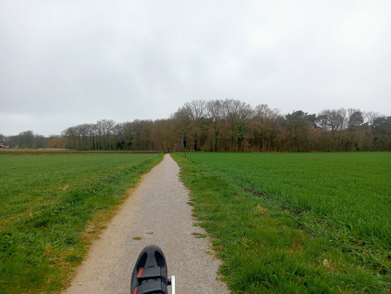 [Afbeelding: IMG20260403100420.jpg]