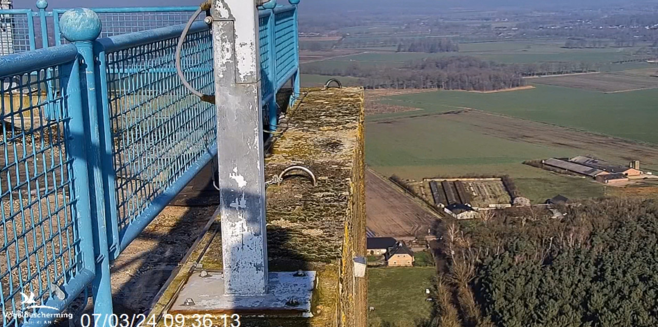 screenshots VWGGemert/Vogelbescherming Nederland. 2024-03-07-095825