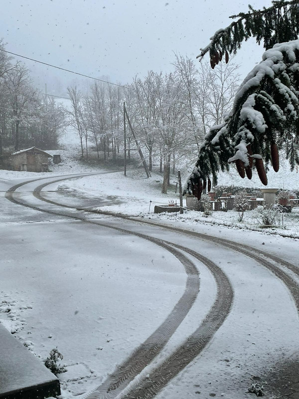 57265A06-2805-4D67-B541-AB98205F3C5D