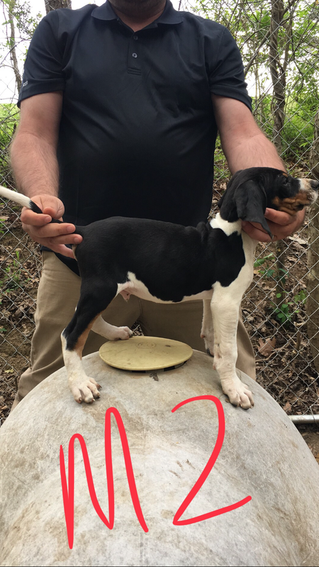 8B2BAFD9-B8F1-4D4D-8B66-48929BFA2ABF