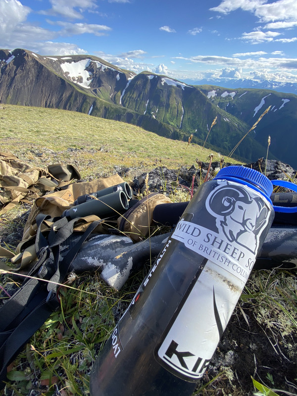 94004549-EB1B-4A86-A0AE-5F75B43886B0