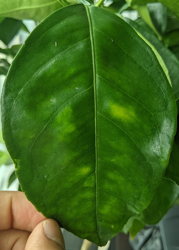 PXL_20230818_175429019~2