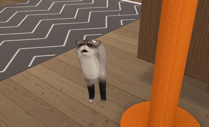 Sims2-EP9-2021-02-12-20-29-02-33