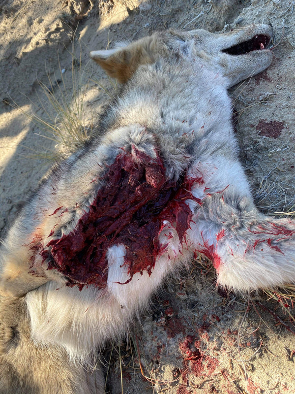 received_639422620051984