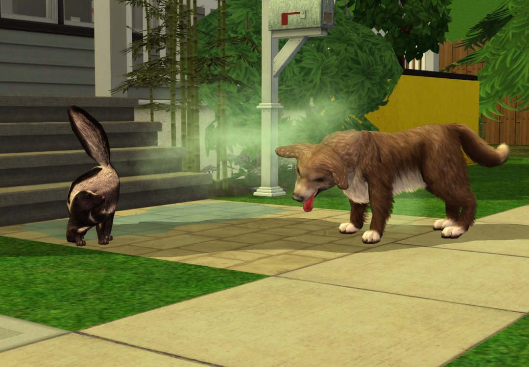 Sims2-EP9-RPC-2023-02-21-17-05-24-50