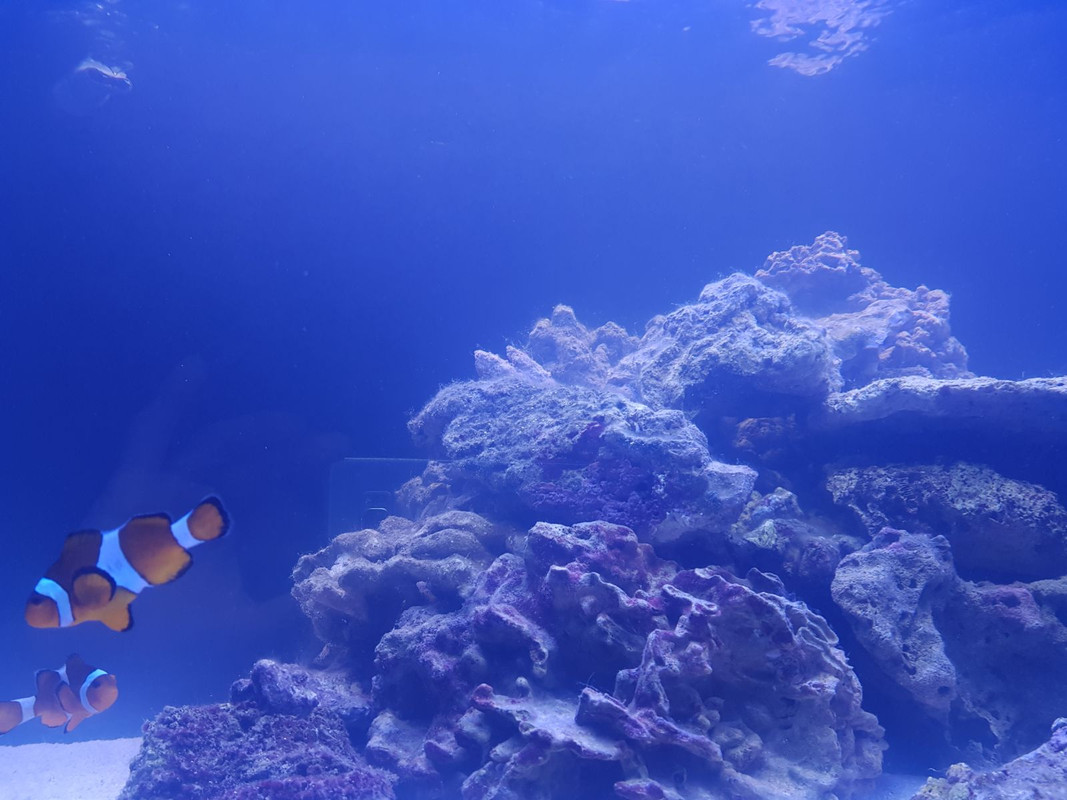 WhatsApp Image 2018-02-25 at 19.24.25(1)