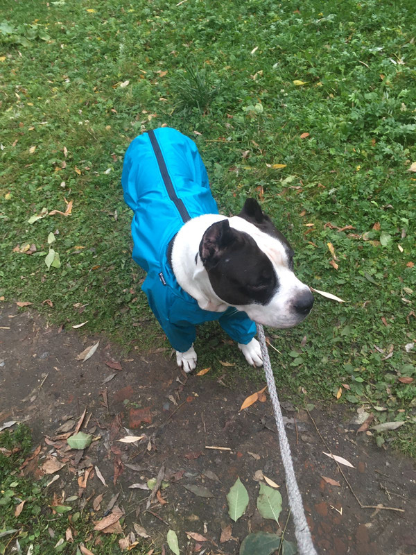 2B149CB8-30CA-40EF-9AAA-9A98DA78CA6E