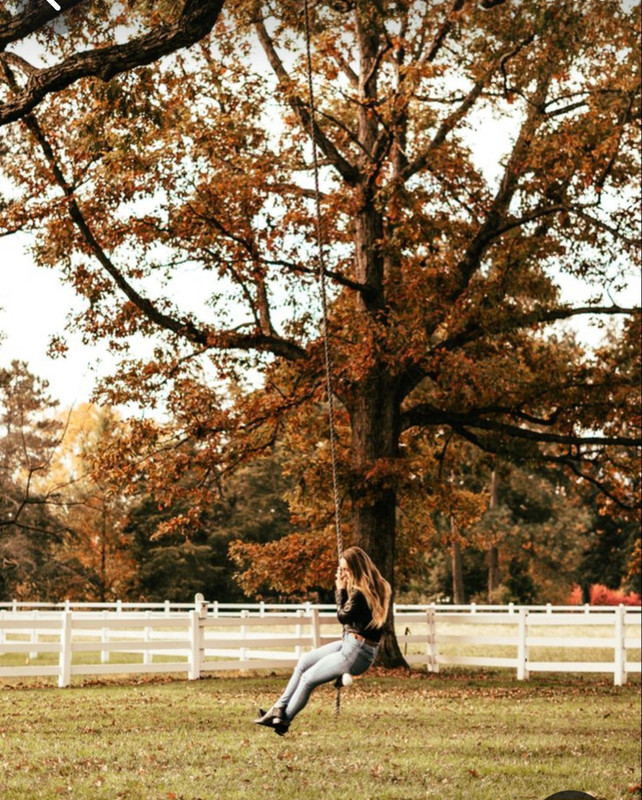 Screenshot_20231112_162128_Pinterest