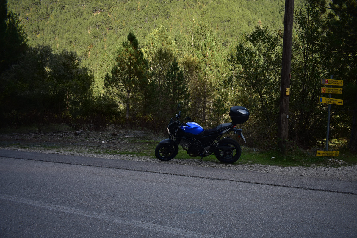 Βάλια Κάλντα (14)