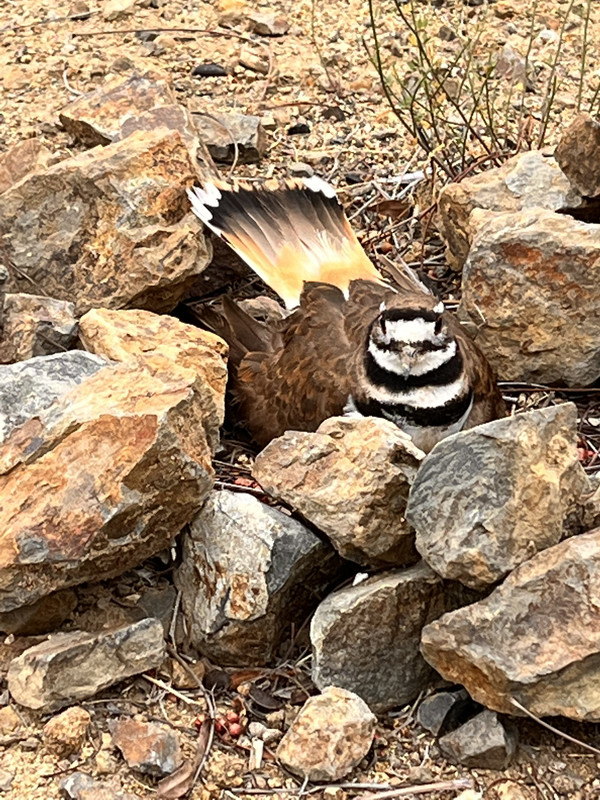 8D6A3BF3-4320-4DCB-8787-5BB19CD27288