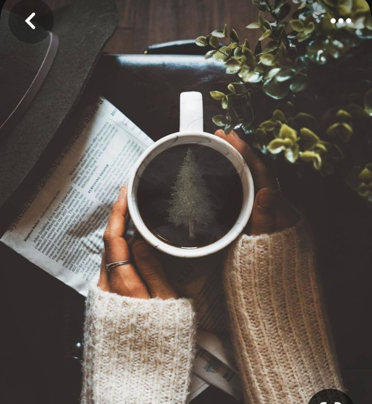 Screenshot_20230909_010307_Pinterest