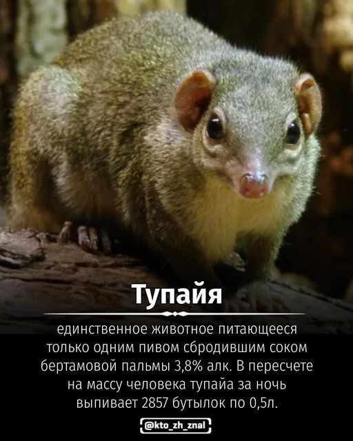 [Изображение: 347ee47ac216d78f05d62d4562cb4b5d.jpg]
