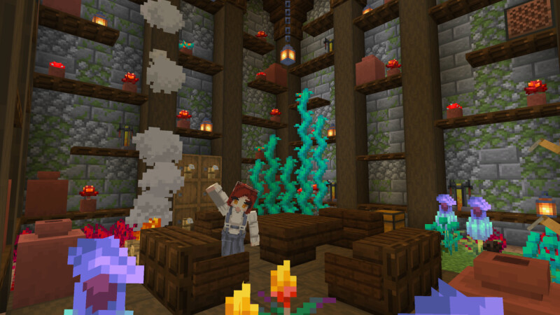 Image 5