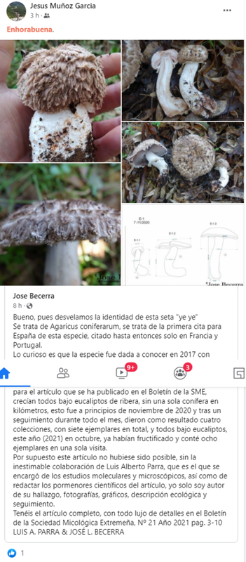 Opera Instantánea_2021-10-30_184840_www.facebook.com