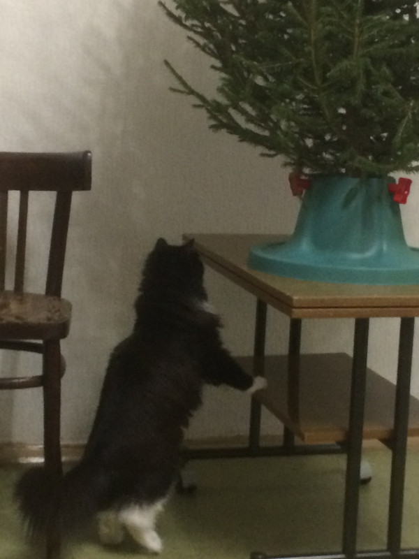 70BC59B5-9896-432A-8704-3F08D248CE95