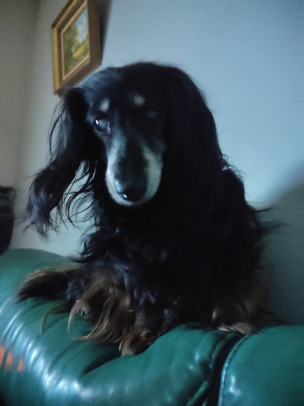 [Image: IMG-20230128-182903.jpg]