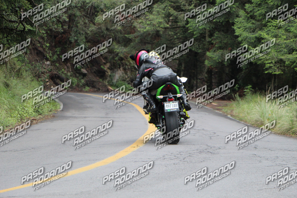 IMG 0011 wm 879362 5 watermarked — Postimages