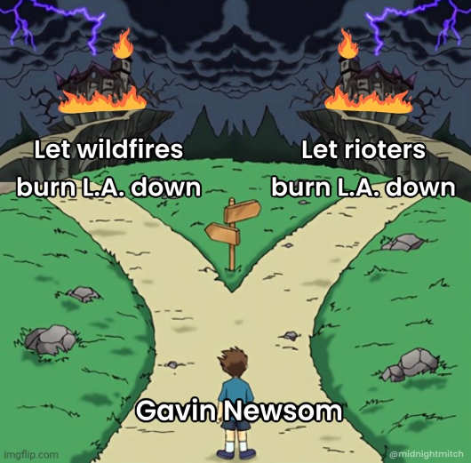 gavin-newsom-choosing-let-wildfires-looters-nurn-la.jpg