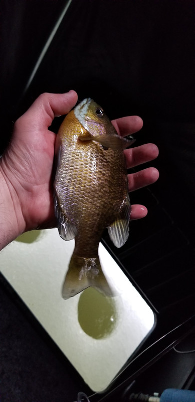 20191226_110149