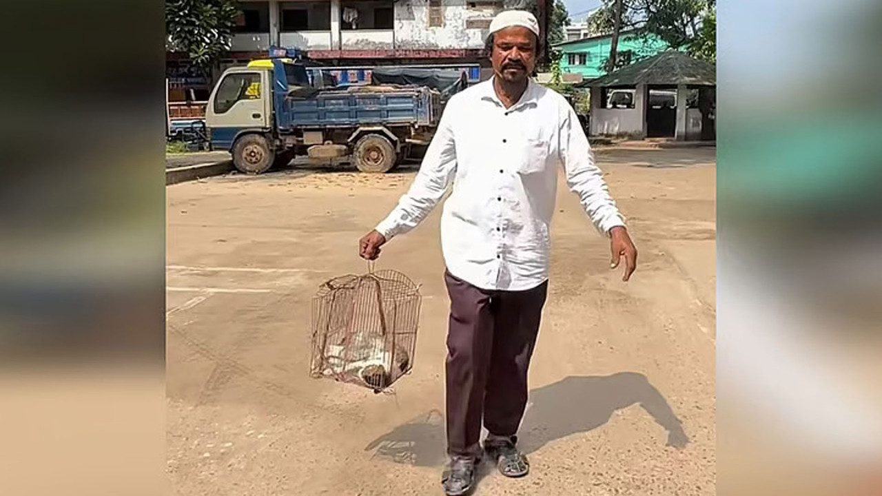 পোষা বিড়াল পিটিয়ে হত্যার অভিযোগ প্রতিবেশীর বিরুদ্ধে, মরদেহ নিয়ে থানায় মালিক