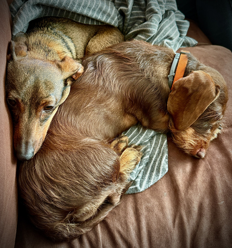 [Image: IMG-3073.jpg]