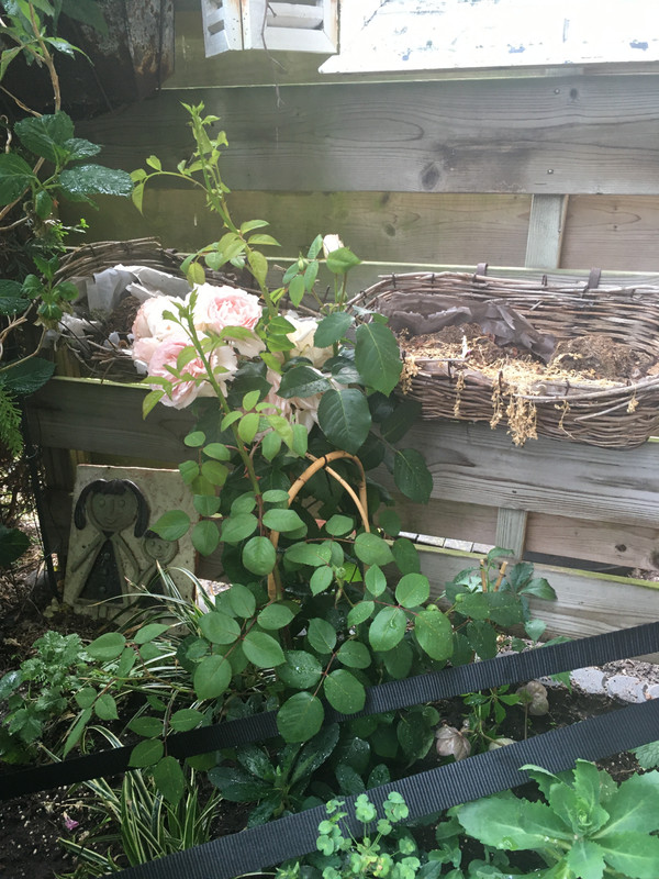 6281468A-0E11-4613-8DDE-48180C88FCF4