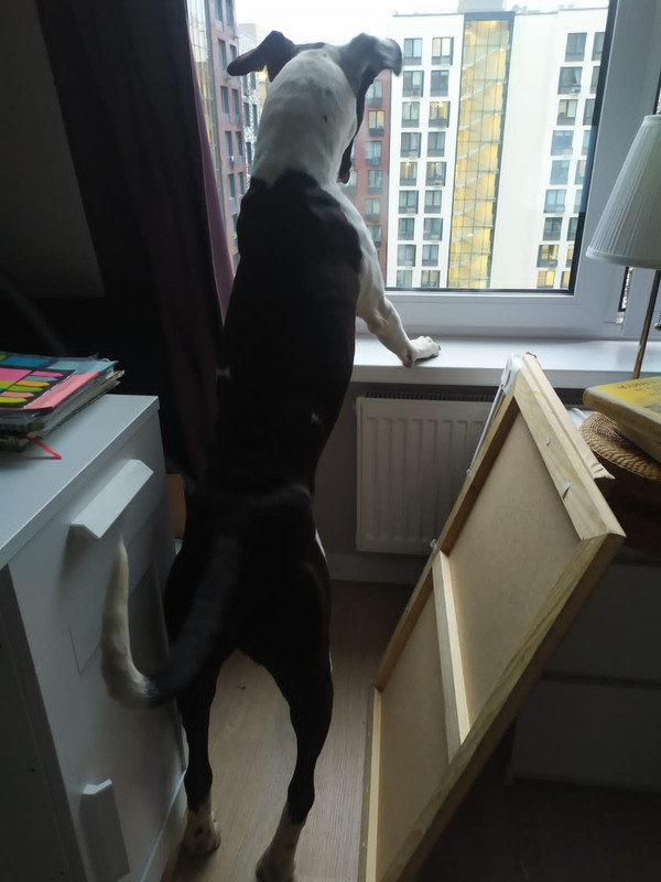 98EC7783-11A7-410B-9EDA-7CF94396AE76