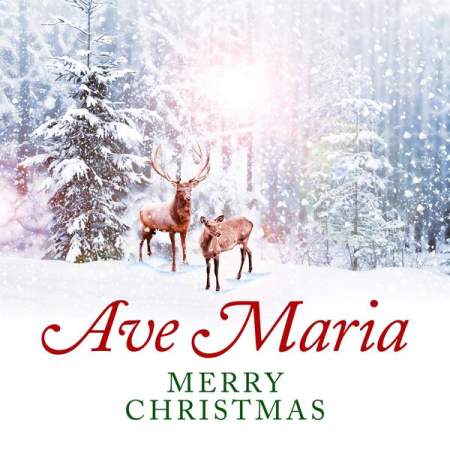 VA - Ave Maria - Merry Christmas (2022)