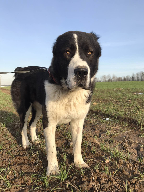 изображение_viber_2019-10-31_16-22-0