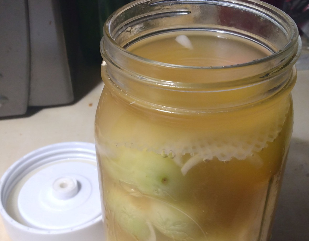 Pickle Plungers in Jar