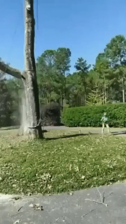 https://i.postimg.cc/3R0fG6Q2/2.gif