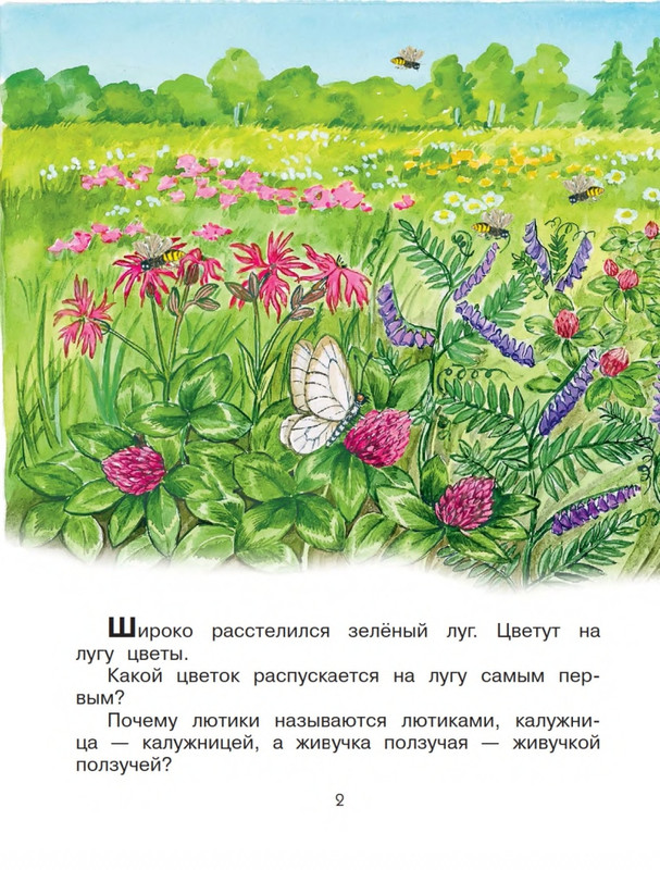 Onegov-Anatolij-Pochemu-kukushka-slozki-lot-page-0003