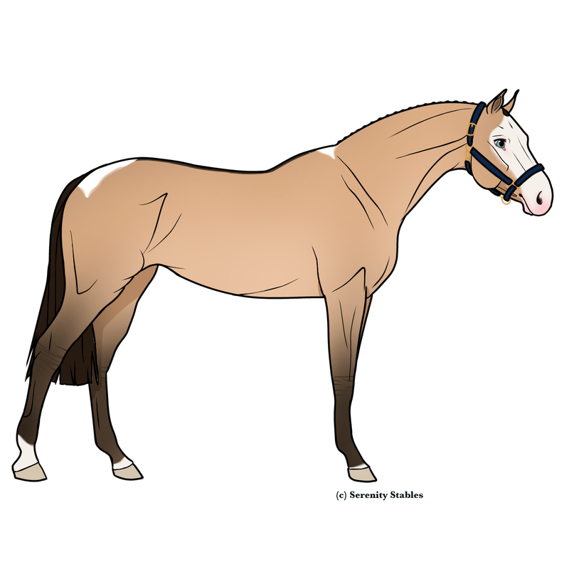 Untitled510-20240514144311.png