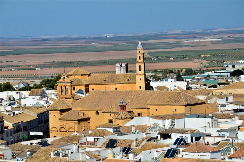 OSUNA-15-10-2021 - Sevilla y sus pueblos-2012/2021 (41)