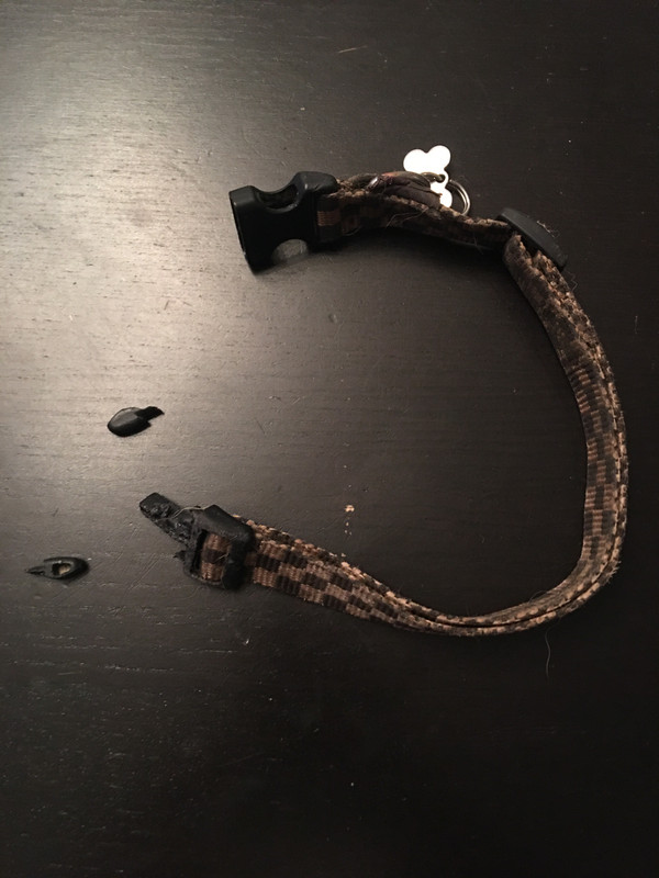 [Image: 85-F81-CE5-2-AD6-4039-8-DF2-75-CFBDAA4546.jpg]