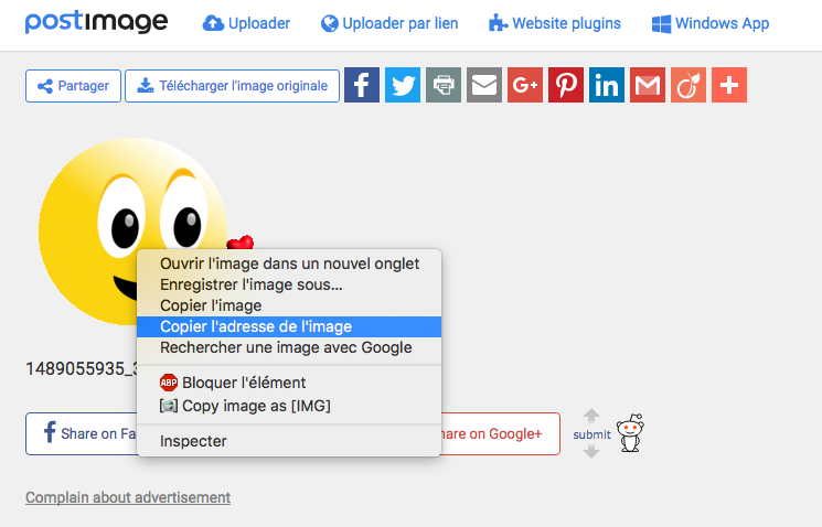 Capture d’écran 2017-03-09 à 20.01.02