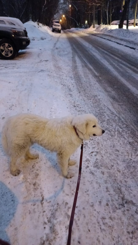 8F51A21F-E90A-4750-B908-60C0FCFF5A7E