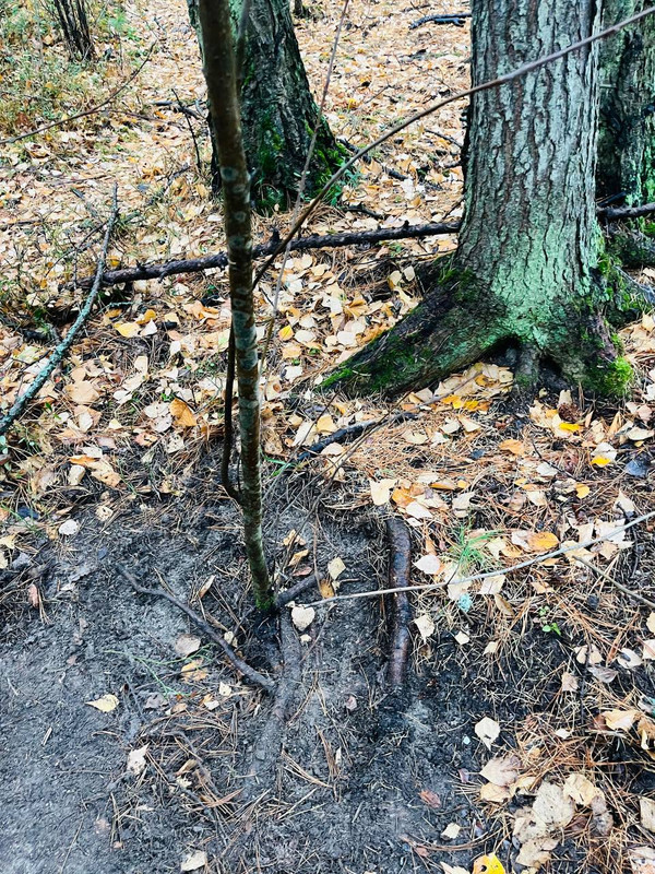 IMG_20251008_163432_277