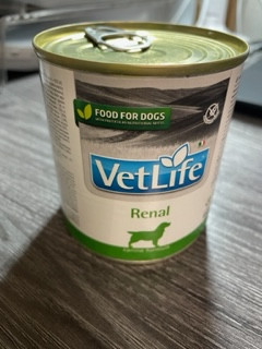 IMG_8168_ветлайф